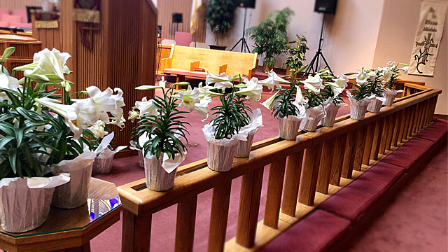Easter Service, Lilies On Kneeling Rail, Oakwood United Methodist Church, Lubbock Texas